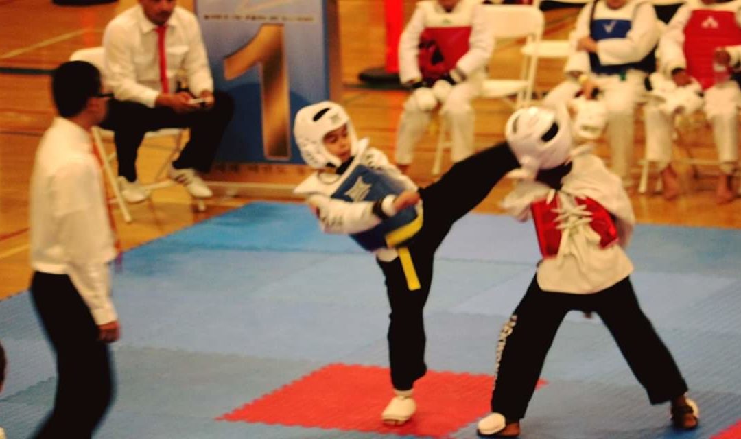 video gallery Taekwondo 1