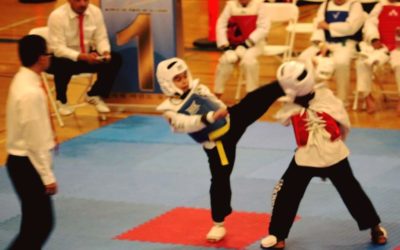 video gallery Taekwondo 1