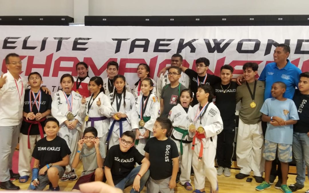Competencia Agosto 2019 Videos